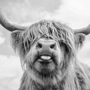 Meet your Posher, Gabrielle